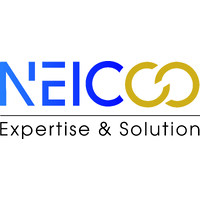 NEICCO Expertise et Solution logo - Similar company to Llg Conseil