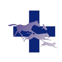The Blue Cross of Belgium logo - Similar company to Sans Collier Asbl