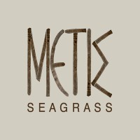 Metis Seagrass logo - Similar company to Minds Technologies