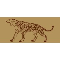 5Cheetah logo - Similar company to Icestasy Projects Private Limited