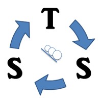 Systems Thinking Solutions logo - Similar company to Systems Thinking Limited