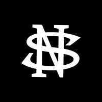 Nashville Stars Baseball Club logo - Similar company to Cactus Jack