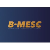 Birimian Mining & Exploration Support Company SARL logo - Similar company to Perfelec