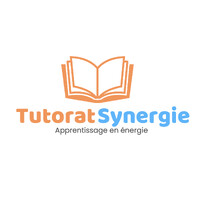 Tutorat Synergie logo - Similar company to Autozoom