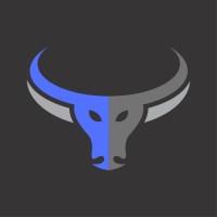 Bulwark Security Services LLC logo - Similar company to Argus Operations
