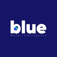 BWI logo - Similar company to Meoss