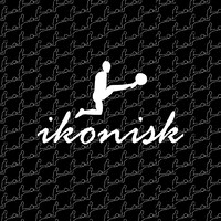 ikonisk logo - Similar company to Sedia Aps