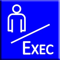 Fractional Exec Solutions logo - Similar company to Dot Move International