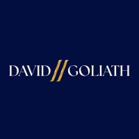 David 2 Goliath logo - Similar company to Delphi Tech Consulting