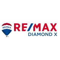 RE/MAX DIAMOND X logo - Similar company to Natural Brasil