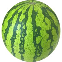 Big Watermelon 大西瓜 logo - Similar company to World Wide Mind