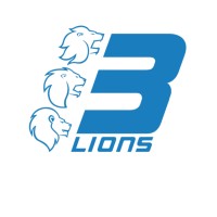 Three Lions Group logo - Similar company to Ssc Group Ksa