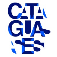 Companhia Industrial Cataguases logo - Similar company to DIFERENTES