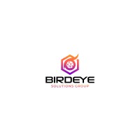 Birdeye Solutions Group logo - email format related to ElevateLikeABoss