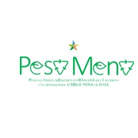 PESoMeNo logo - Similar company to Bkkt B.V.