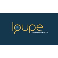 Loupe.nu logo - Similar company to Transfers Belicht