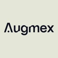 Augmex logo - Similar company to Pinpoint Logistics