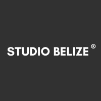 Studio Belize logo - Similar company to Crying Tiger