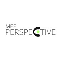 MEF Perspective logo - Similar company to Hsd Mef University
