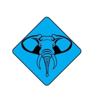 Twintusk LLC logo - Similar company to Dnetgurus