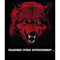 Unleashed Studio Entertainment logo - Similar company to Mana Brigade