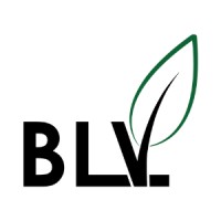 BLV Energy Solutions logo - Similar company to Universal Energy Service
