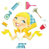 Domestic Gem Home & Office Cleaning