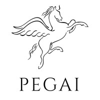 PEGAI logo - Similar company to Wboxgo.Com