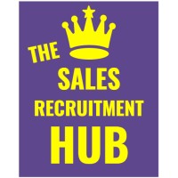 The Sales Recruitment Hub - Professional Recruitment Made Simple logo - Similar company to Ping-Hr -  Rec2Rec & Sales Recruitment
