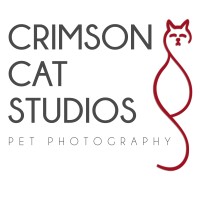 Crimson Cat Studios logo - Similar company to Calahan Construction