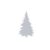 White Pine Capital logo - Similar company to Pack Private Wealth