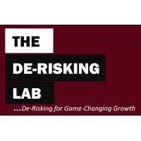 The De-Risking Lab logo - Similar company to Global Analytics Consulting Limited