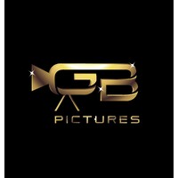GoldBlink Pictures logo - Similar company to Visometric