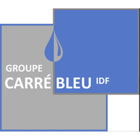 Carré Bleu IDF logo - Similar company to Méthode Alpine