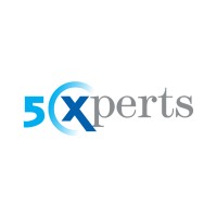 5Xperts logo - Similar company to Teralogik