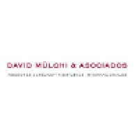David Mülchi & Asociados logo - Similar company to Affinity Advisory Network Llc