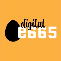 Digital E665, Inc.