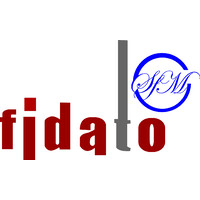 Fidato Ltd. logo - Similar company to Accord Tech Solutions
