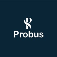 Probus Software Private Limited logo - Similar company to Itfigs Infotech (Opc) Pvt. Ltd.