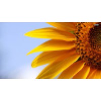 New Dawn Assisted Living - New Dawn Memory Care