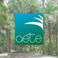 Asociación de Empresas Turísticas de Elche - AETE logo - Similar company to Inneoditec | Fabricación Aditiva (Impresión 3D)