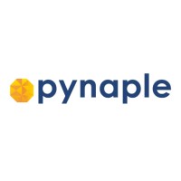 Pynaple logo - Similar company to Worldstream - Solid It. No Surprises.