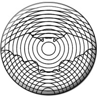 Dansk Ultralyddiagnostisk Selskab (DUDS) logo - Similar company to Surgic