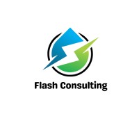 Flash Consulting logo - Similar company to Flashtech