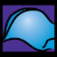 Biomechanical Services logo - Similar company to Stapschambé