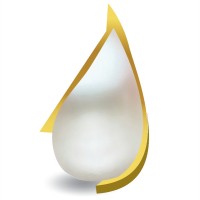Pearl Energy logo - Similar company to Yarrabank Developments