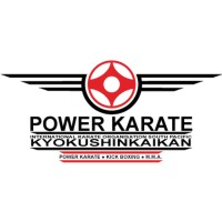 Power Karate logo - Similar company to Martiability