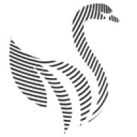 Black Swan Capital logo - Similar company to Xcentric Hotels B.V.