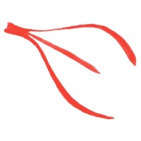 TriFlo Cardiovascular Inc. logo - Similar company to Merge Medical