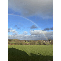 X logo - Similar company to Excel Parking Services